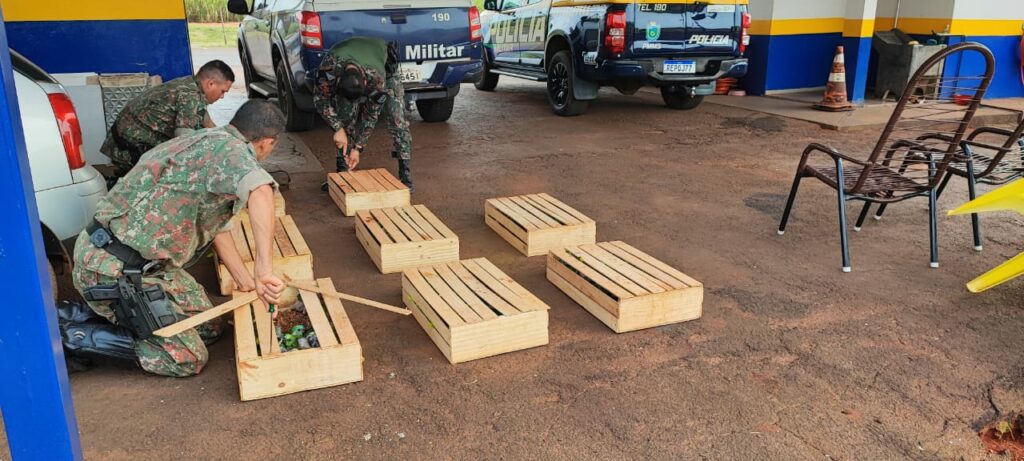 Dupla é presa por tráfico de animais e tentativa de suborno a PMs em MS