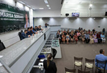 Professores da Capital serão homenageados com a medalha legislativa Marisa Serrano