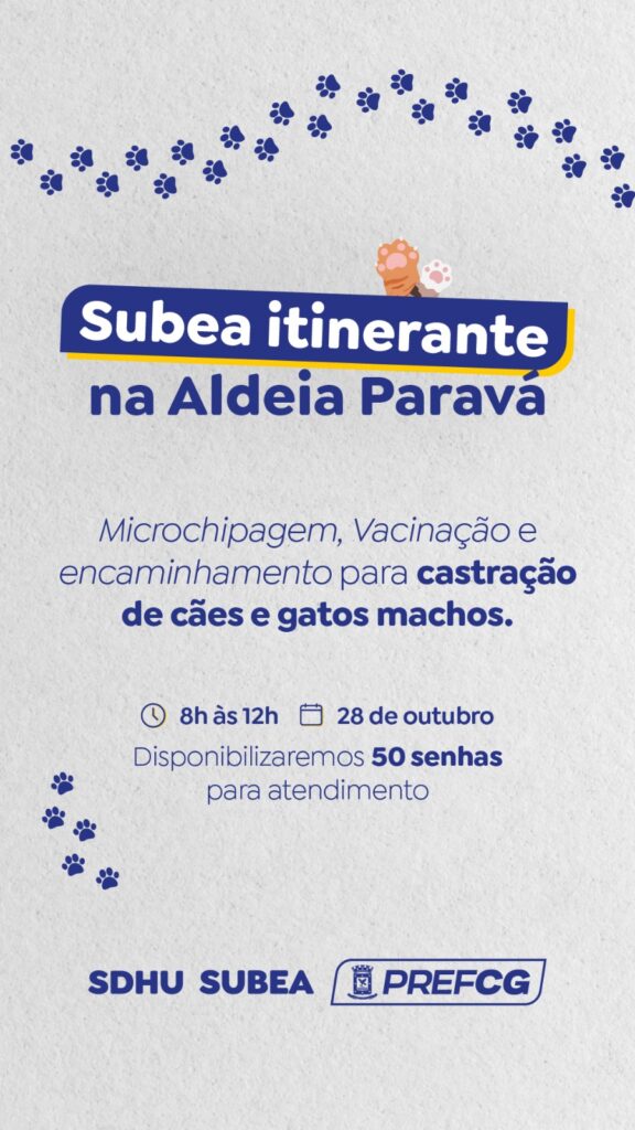 Subea levará atendimento itinerante para Aldeia Paravá neste sábado Subea levará atendimento itinerante para Aldeia Paravá neste sábado