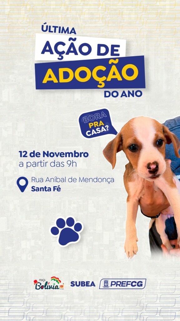 Domingo prefeitura realiza última feira de adoção de Pets do ano na Capital Domingo prefeitura realiza última feira de adoção de Pets do ano na Capital