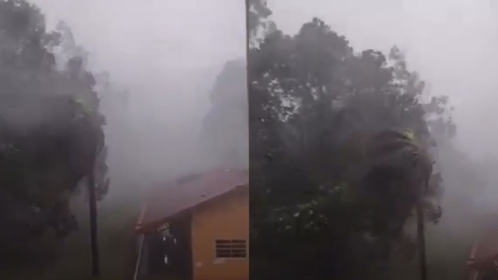 Chuva com vento de até 52 km/h causa estragos em Campo Grande