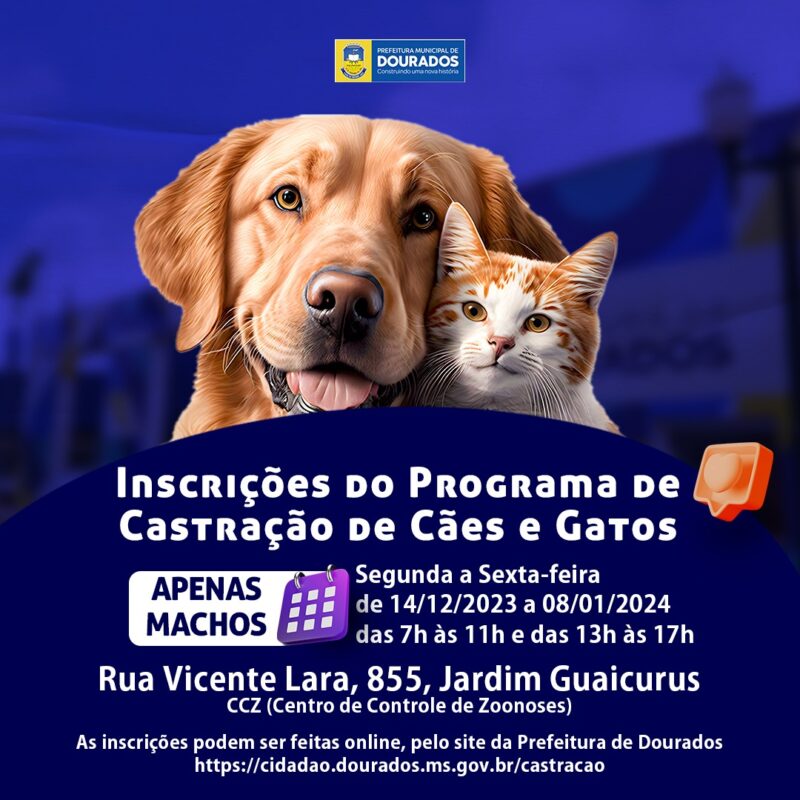 Programa Municipal de Castração reabre inscrições em Dourados Programa Municipal de Castração reabre inscrições em Dourados