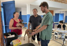 Subea inicia mutirão de atendimento para cães e gatos no bairro Centro Oeste