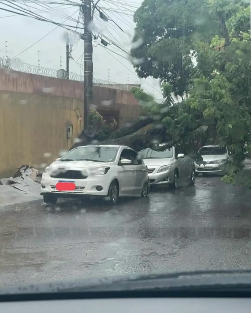 Sem parar desde domingo, chuva provocou novos estragos em bairros da Capital nesta segunda-feira Sem parar desde domingo, chuva provocou novos estragos em bairros da Capital nesta segunda-feira
