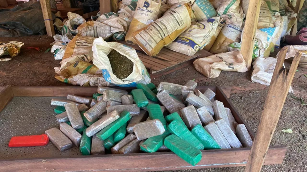 Nova fase da Operação Nova Aliança, na fronteira, destruiu 330 toneladas de maconha