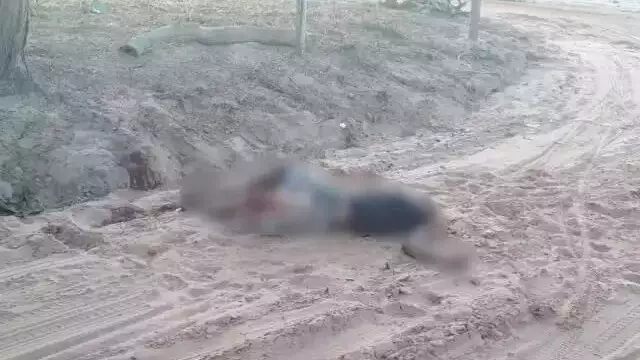 Homem que decaptou e comeu pescoço de traficante é preso ao cair em blitz Homem que decaptou e comeu pescoço de traficante é preso ao cair em blitz
