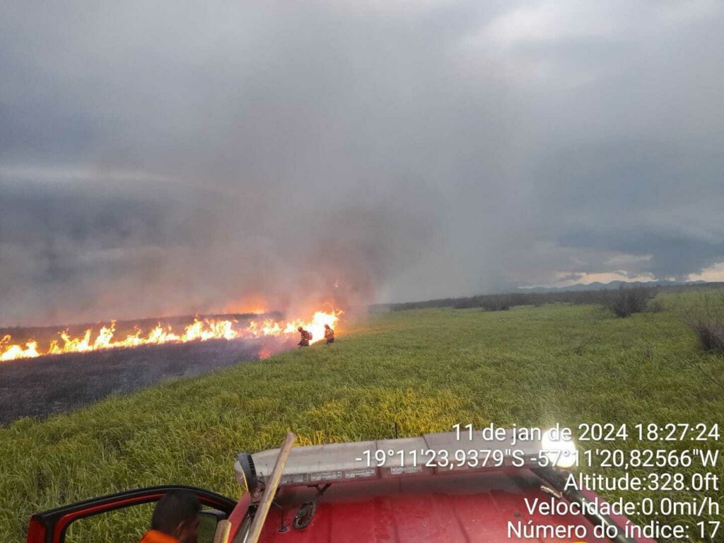 Bombeiros são acionados a combater incêndios que retornam no Pantanal