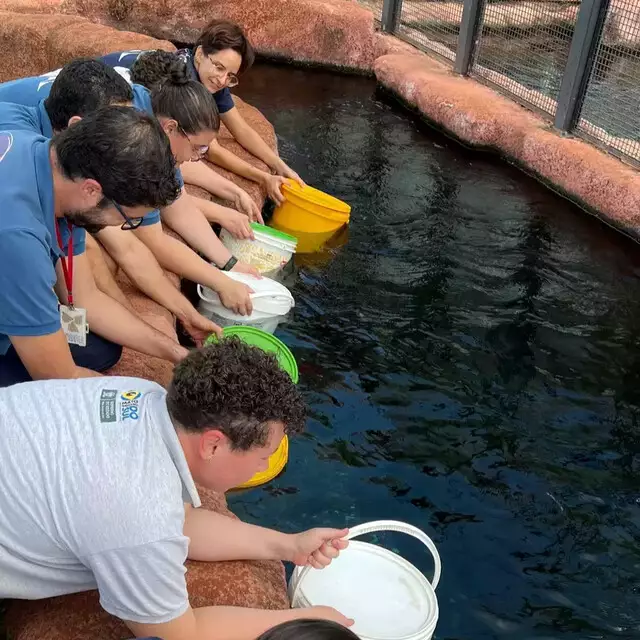 Após período de manutenção, Bioparque Pantanal volta a receber visitas