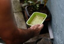 Confira dicas simples que podem livrar sua casa dos focos da dengue