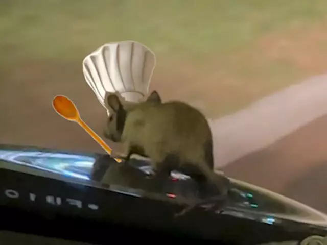 Vídeo de 'Ratatouille' do Cerrado em carro de blogueira viraliza na internet