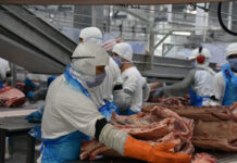 Indústria de MS gerou 2.252 novos postos formais de trabalho em janeiro