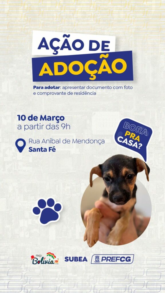 Feira de adoção de pets acontece neste domingo em praça da Capital Feira de adoção de pets acontece neste domingo em praça da Capital