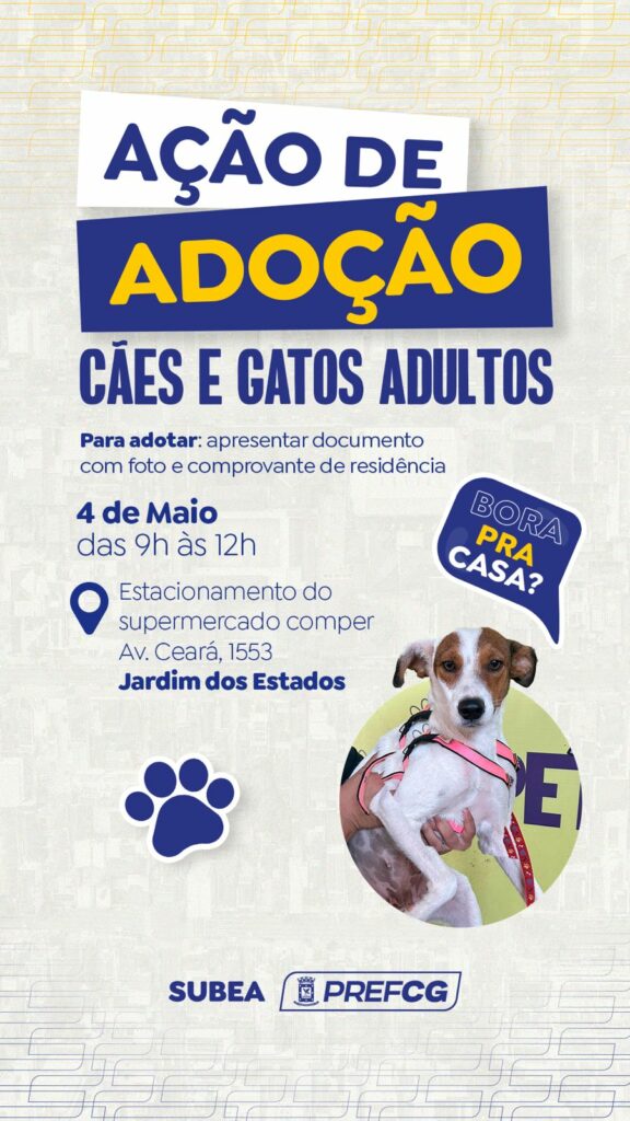 Ação de adoção de pets adultos acontecerá no sábado na Capital