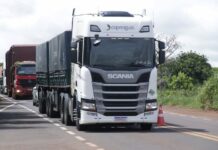 Motoristas devem fazer exame toxicológico até próxima terça, orienta Detran