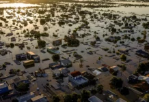 Lavoura, maquinário, animais: chuvas no RS prejudicam agropecuária