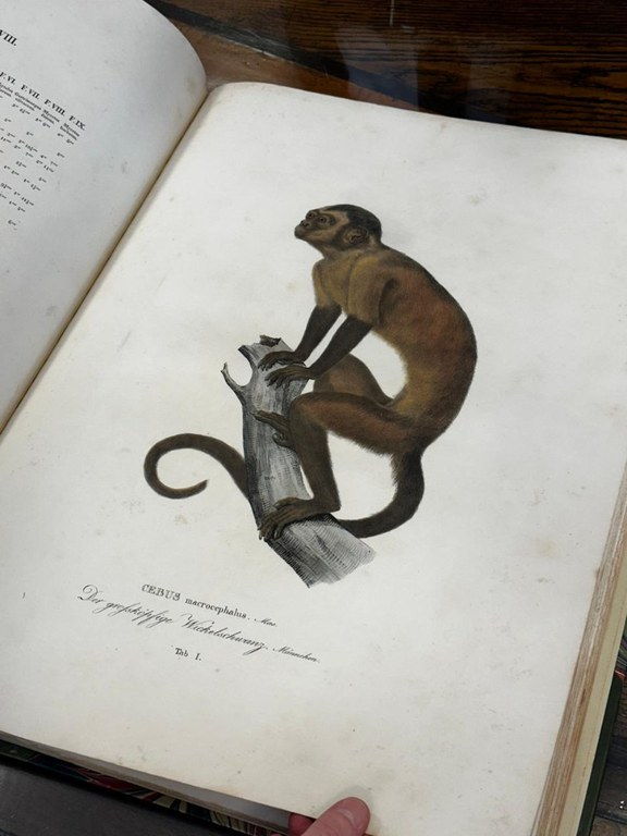 PF resgata em Londres livro histórico furtado do Museu Emílio Goeldi