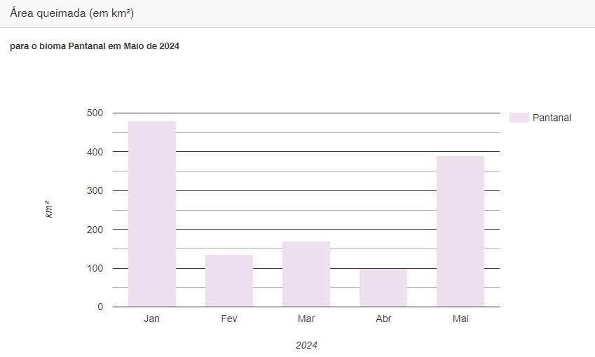 Presidente da ALEMS destaca o cuidado do Pantanal como patrimônio da humanidade