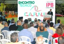 Pecuária de MS busca na genética formas de aumentar produtividade e qualidade carne