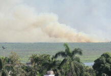 Fogo atinge canal do Tamengo, as margens do rio Paraguai, em Corumbá