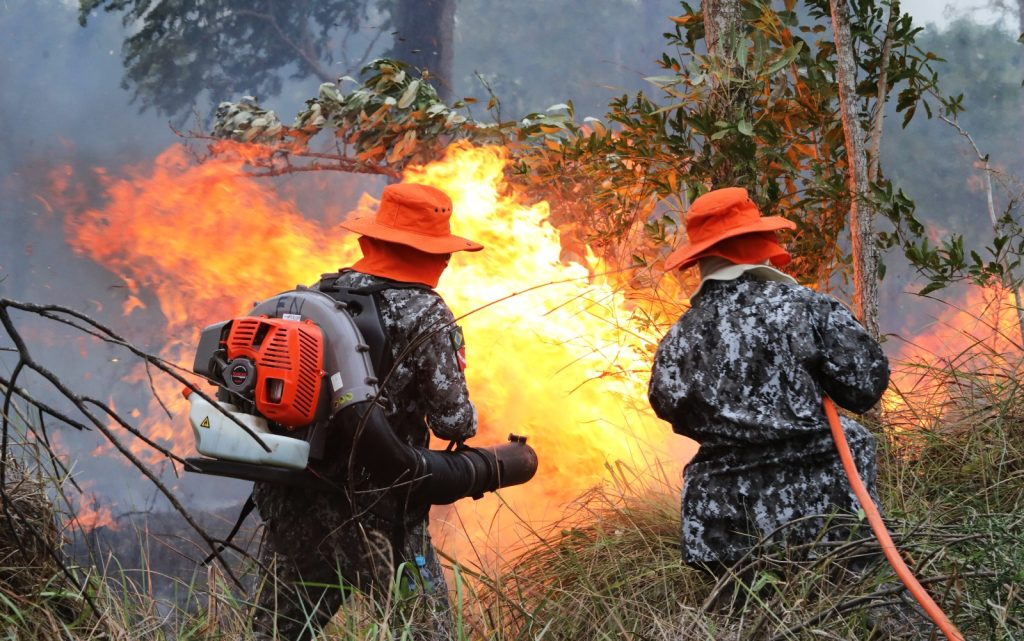 Força Nacional já atua no combate ao fogo no Pantanal sob coordenação de MS Força Nacional já atua no combate ao fogo no Pantanal sob coordenação de MS