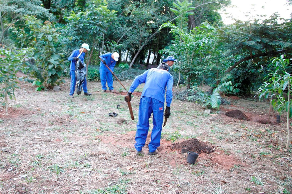 Dia do Meio Ambiente: Em gesto simbólico, deputados plantam mudas de ipê