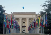 Brasil apresenta na ONU ação para combater desigualdade étnico-racial