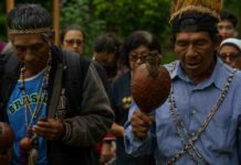 Indígenas denunciam novo ataque em área conflitos com fazendeiros em MS