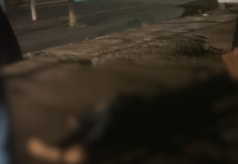 Homem é encontrado morto com marca de tiro na cabeça no Guanandi