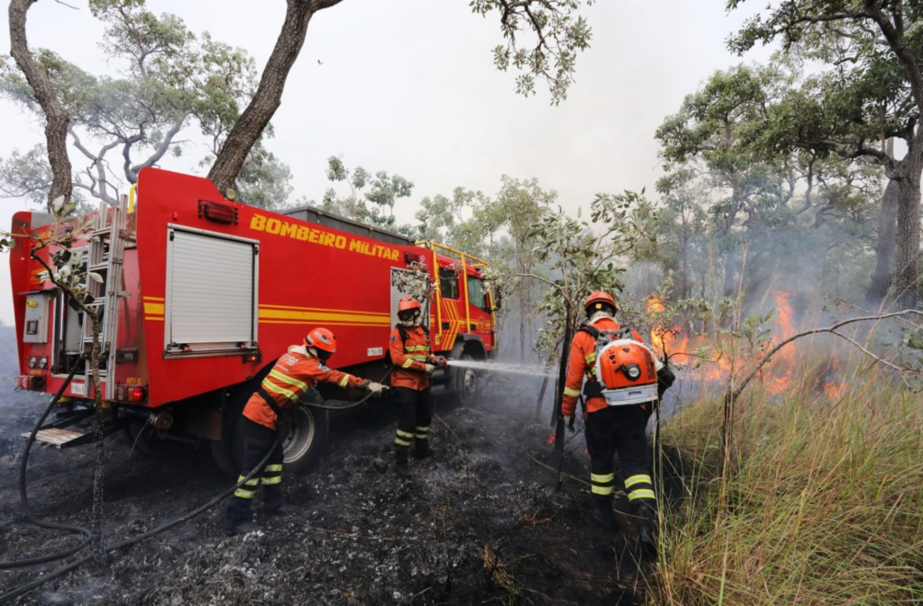Mesmo com os incêndios ocorridos, Pantanal de MS se revela um gigante cheio de vida Mesmo com os incêndios ocorridos, Pantanal de MS se revela um gigante cheio de vida
