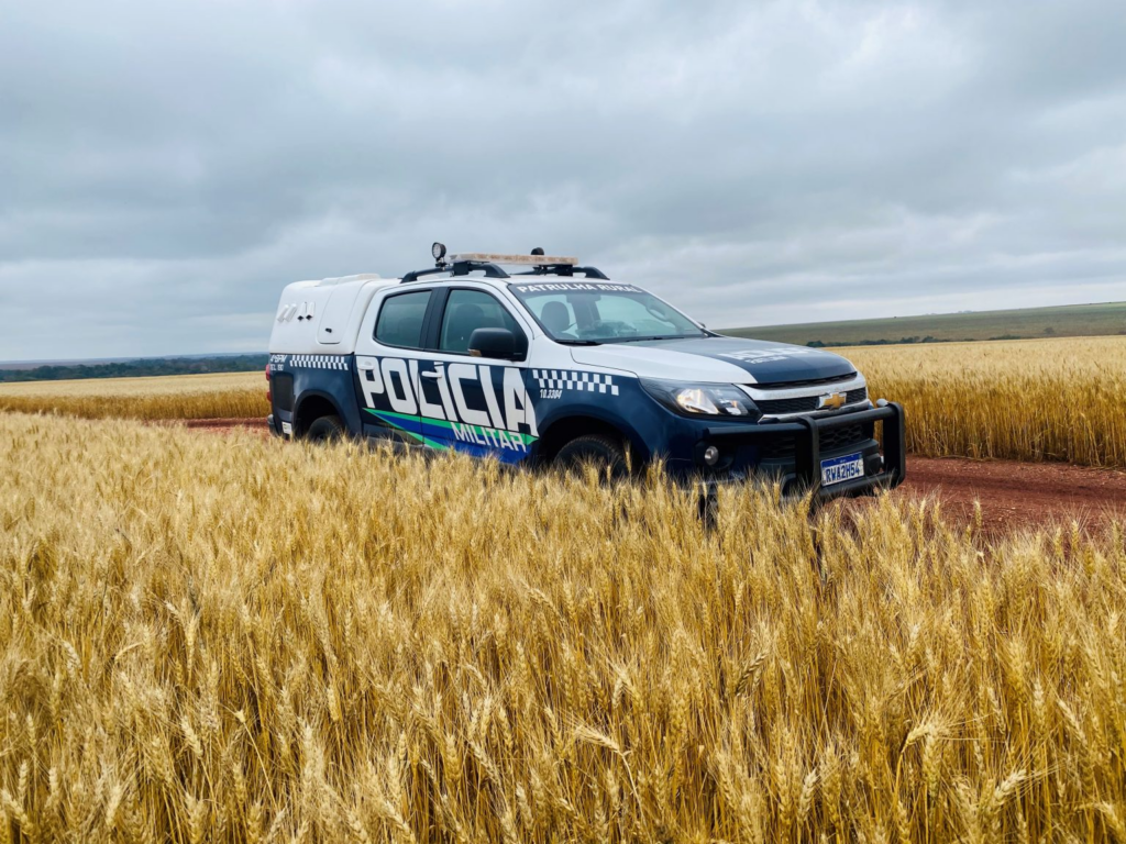 Neste ano, ações do policiamento rural da PM já causaram prejuízo de 3,5 milhões para criminosos