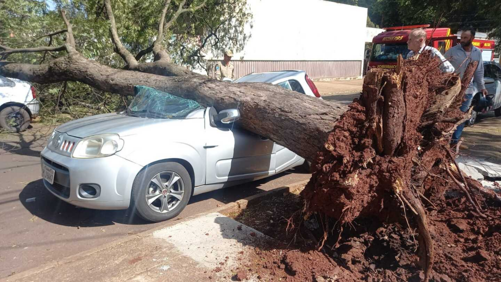 Carro fica destruído ao ser atingido por árvore de grande porte em Dourados Carro fica destruído ao ser atingido por árvore de grande porte em Dourados
