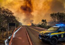 Saiba como agir em caso de incêndio e fumaça nas estradas