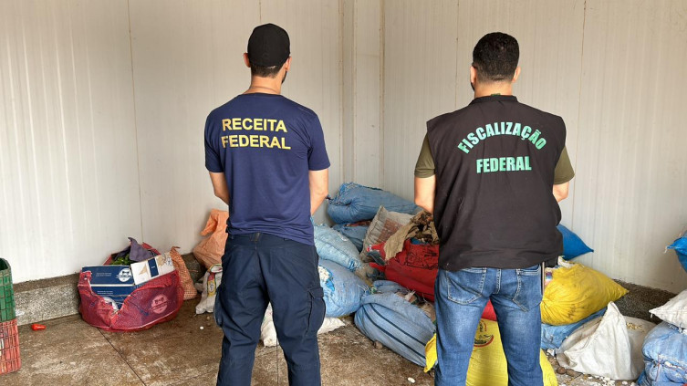 Operação apreende 19 fetos de lhama em ônibus clandestino que seguia para SP Operação apreende 19 fetos de lhama em ônibus clandestino que seguia para SP