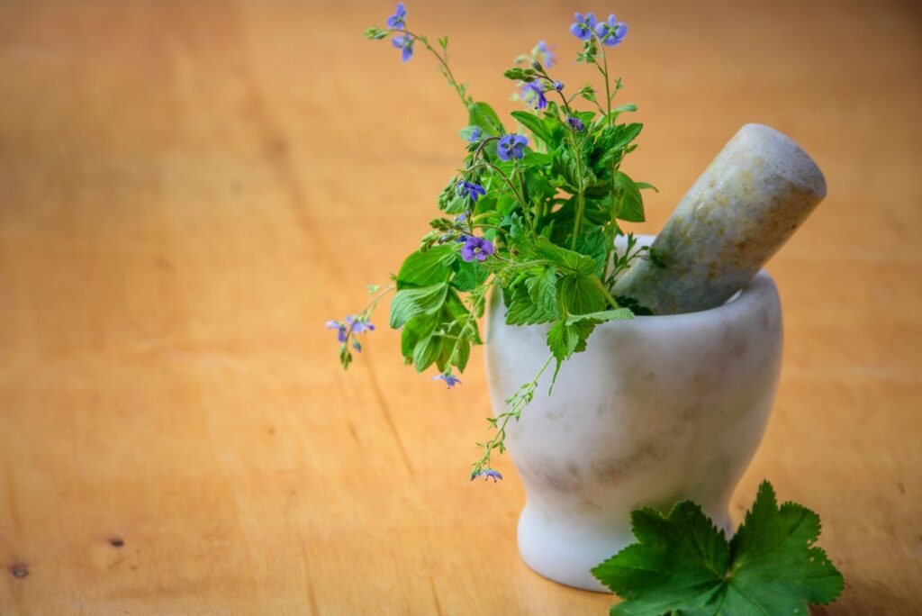 Hortelã: conheça os benefícios para a saúde e veja 5 receitas para fazer em casa Hortelã: conheça os benefícios para a saúde e veja 5 receitas para fazer em casa
