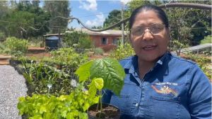 Projeto Água Vida doa viveiro para preservar árvore em risco no Pantanal Projeto Água Vida doa viveiro para preservar árvore em risco no Pantanal