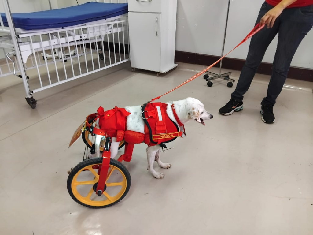 Bombeiros, cães terapêuticos e música encantam o Humap-UFMS/Ebserh Bombeiros, cães terapêuticos e música encantam o Humap-UFMS/Ebserh