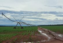 Irrigação transforma produtividade e garante mais segurança ao produtor rural
