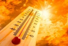 2024 foi o ano mais quente da história de Mato Grosso do Sul, aponta Cemtec