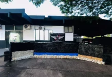 Casal é preso com mais de 1,7 ton de maconha avaliada em R$ 4,8 mi em Ponta Porã