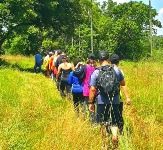 Turismo na Rota Caminho dos Ipês é impulsionado com apoio do Sebrae Turismo na Rota Caminho dos Ipês é impulsionado com apoio do Sebrae