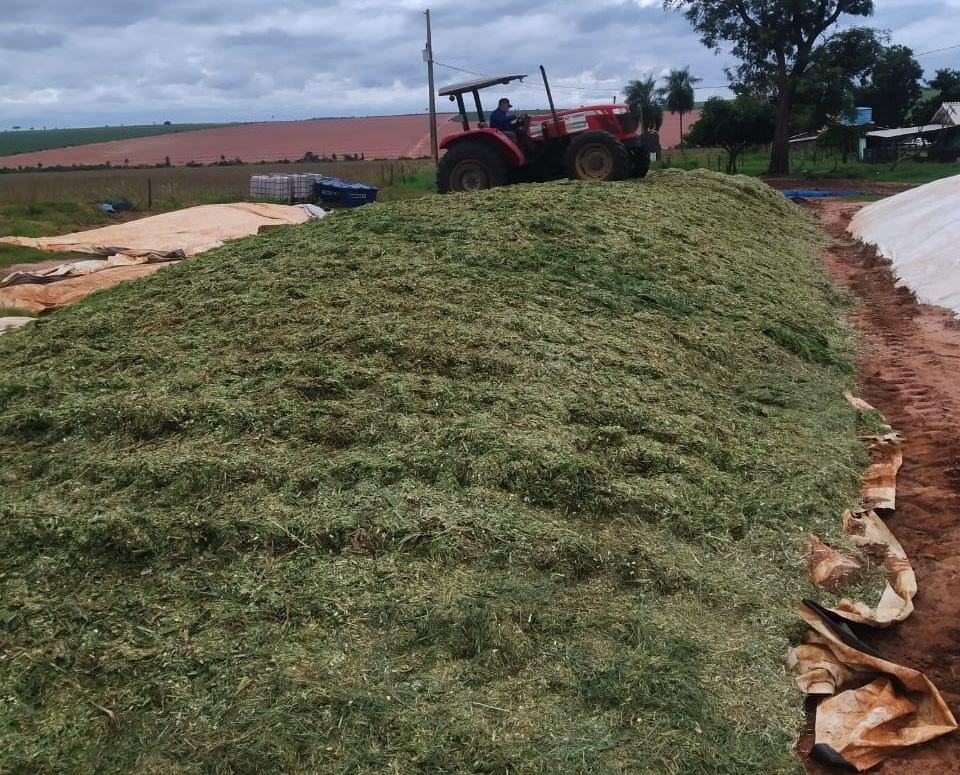 Naviraí inicia fabricação de silagem em apoio aos produtores de leite da agricultura familiar Naviraí inicia fabricação de silagem em apoio aos produtores de leite da agricultura familiar