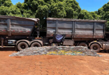 PF prende caminhoneiro ao apreender quase 400 kg de droga em rodovia de CG