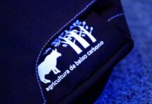 Senar inicia projeto que mensura emissões de gases do efeito estufa em fazendas de MS