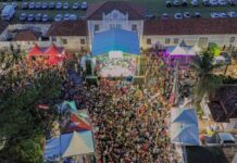 Prefeitura intensifica ações para início do Carnaval 2025 a partir desta 6ª feira