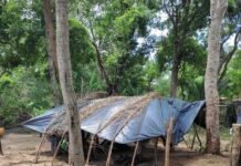 PF resgata trabalhadores em condições análogas à escravidão no Pantanal MS