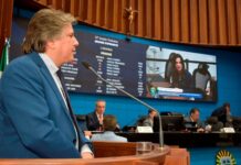 Deputados debatem cooperação entre Poderes contra a violência doméstica