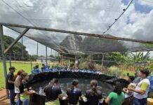 Escola agrícola de Rochedinho recebe tanque de Psicultura com foco no desenvolvimento