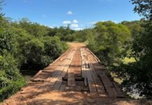 Pesquisadores mapeiam estradas vicinais de MS para aprimorar logística rural