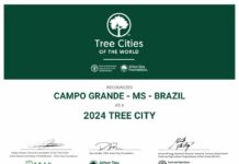 Campo Grande é hexa: Capital é mais uma vez eleita ‘Tree City of the World’