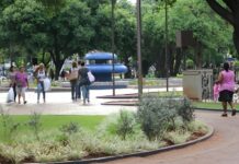 Ação em Campo Grande marca o Dia Mundial do Rim com serviços gratuitos à população